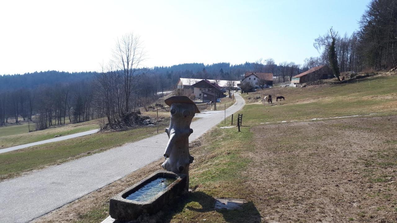 Ferienapartment 38 Sonnenwald Oberlangfurth Esterno foto