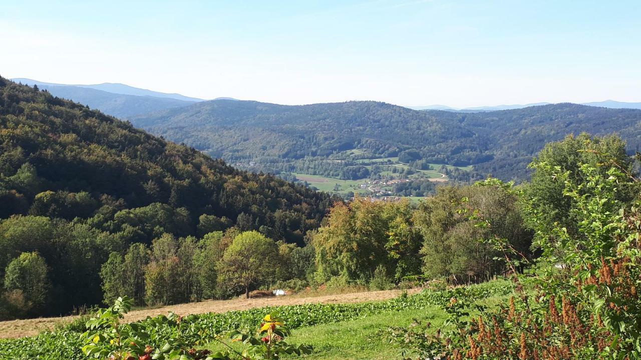 Ferienapartment 38 Sonnenwald Oberlangfurth Esterno foto